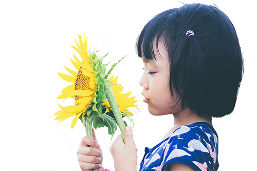 背景削除・切り抜き処理後のEC商品画像（AFTER）