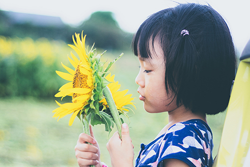 背景削除・切り抜き処理の加工前画像